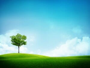 sunny day and grass field